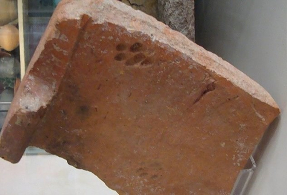 2000 Years Old Cat Paw Prints Found on a Roman Tile Proves Cats Never Cared