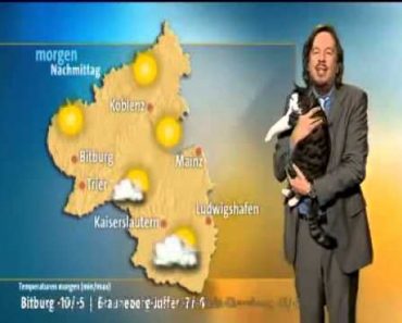 Cat Interrupts Weather Broadcast And Demands Cuddles!