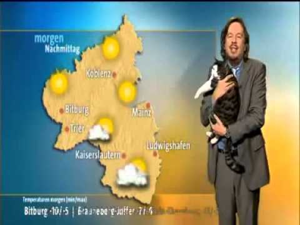 Cat Interrupts Weather Broadcast And Demands Cuddles!