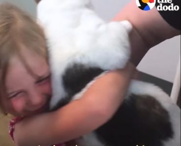 Little Girl Reunites With Her Lost Cat After 3 Years!