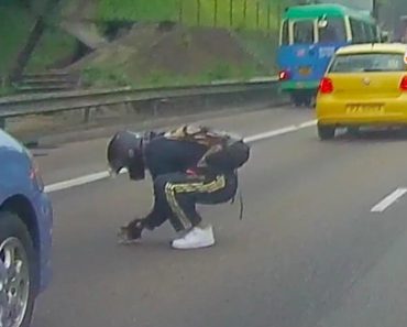 Man Stops Traffic to Rescue a Tiny Kitten in the Middle of Busy Highway