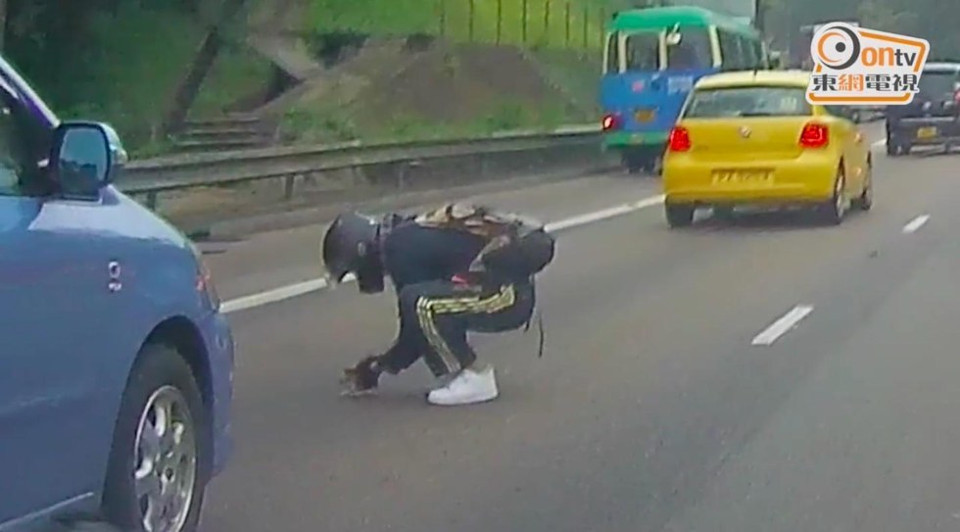Man Stops Traffic to Rescue a Tiny Kitten in the Middle of Busy Highway