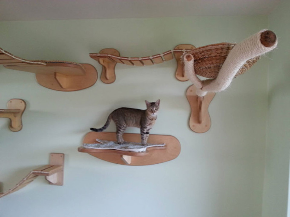 German cats furniture