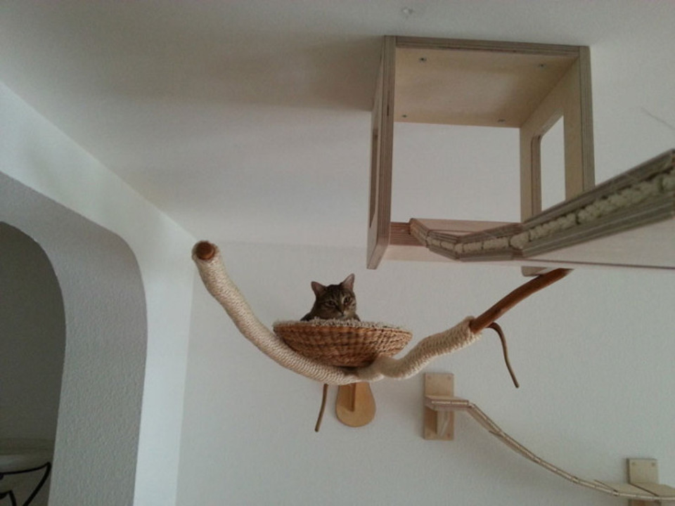 furniture for cats