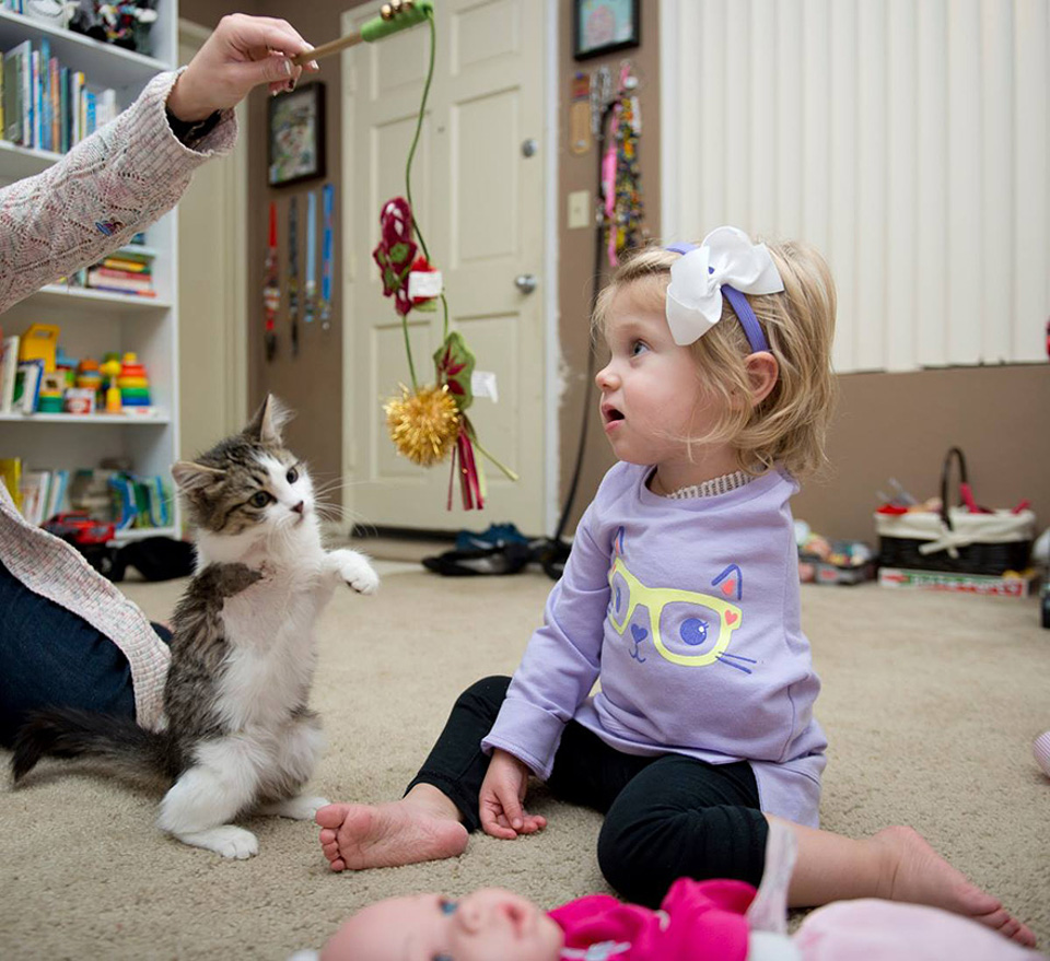 3 Legged Rescued Kitten, Finds Her Special Soul Mate