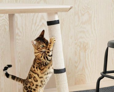 Ikea Finally Launches Furniture for Cats and Dogs!