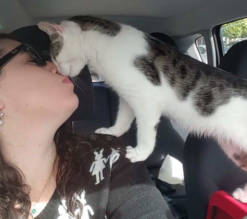 Kitten Who Was Rescued From Death-Row Can’t Stop Thanking His Rescuer
