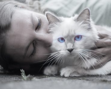 New Study Reveals That Cats And Owners Interact More With Each Other After A Longer Duration Of Separation