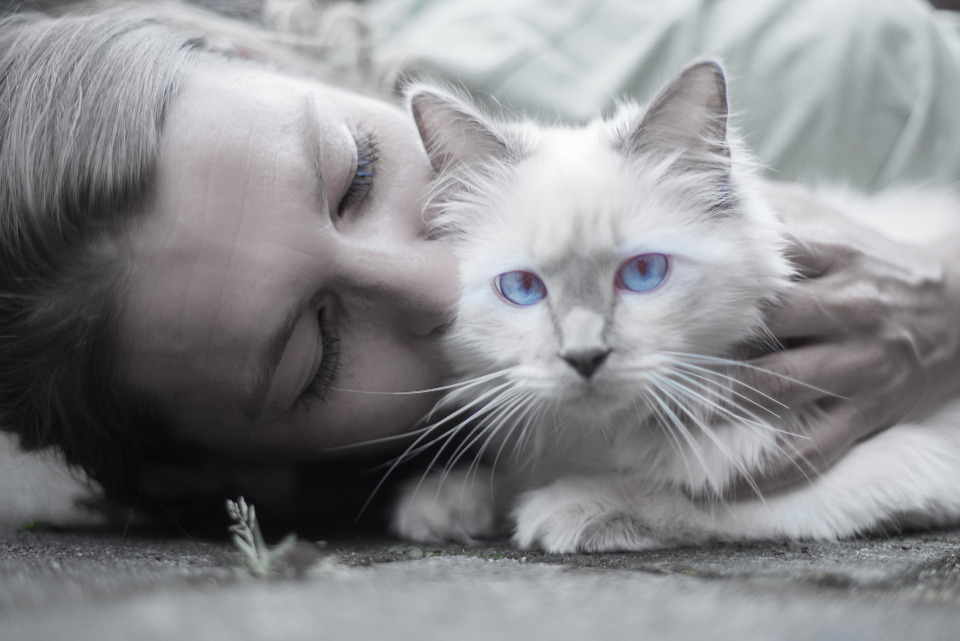 New Study Reveals That Cats And Owners Interact More With Each Other After A Longer Duration Of Separation