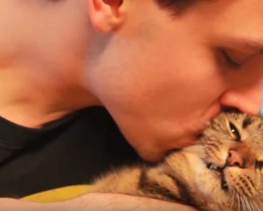 These Cats Totally Hate Being Kissed