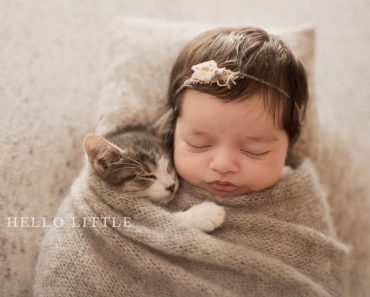 Couple’s Baby-and-Kitten Video Takes Internet By Storm!