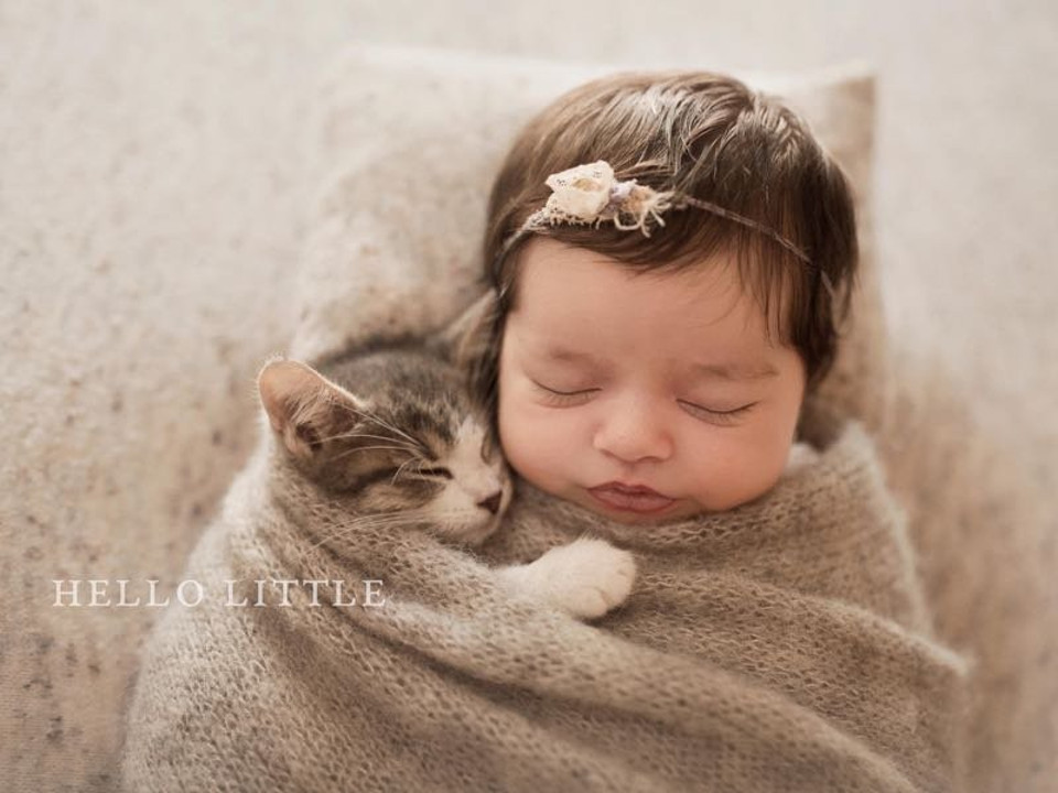 Couple’s Baby-and-Kitten Video Takes Internet By Storm!