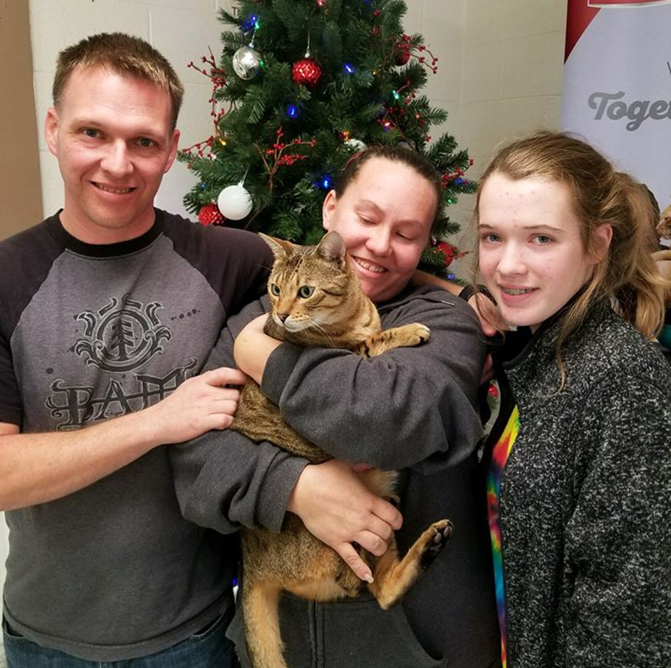 A Christmas Miracle, Lost Cat Returns To Her Family 3 Years Later