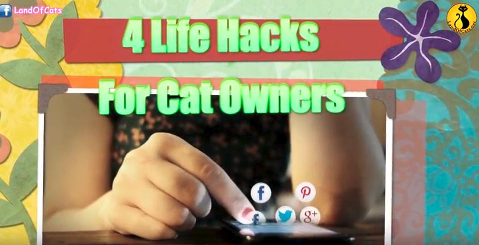Four Life Hacks For Cat Owners