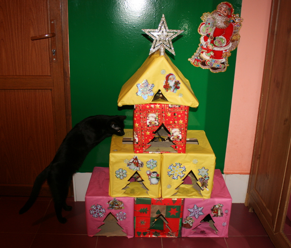 Keep Your Cat Safe And Happy Over The Christmas Period!