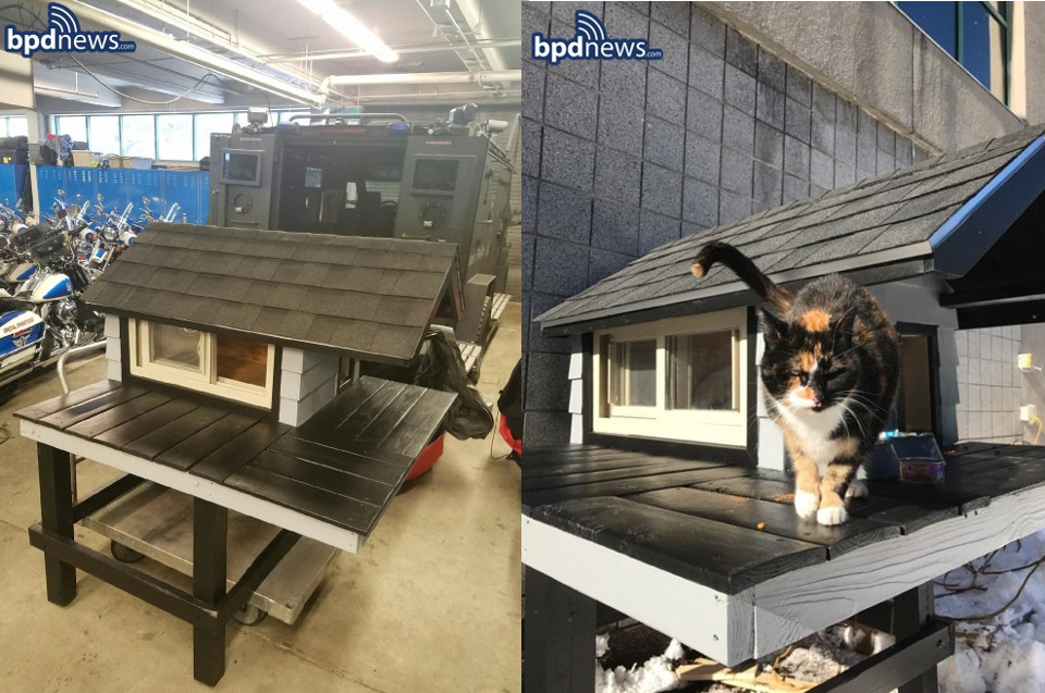 Police Officers Build Mini Condo For Mascot ‘SWAT Cat’