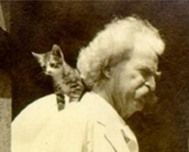 Mark Twain Liked Cats Better Than People