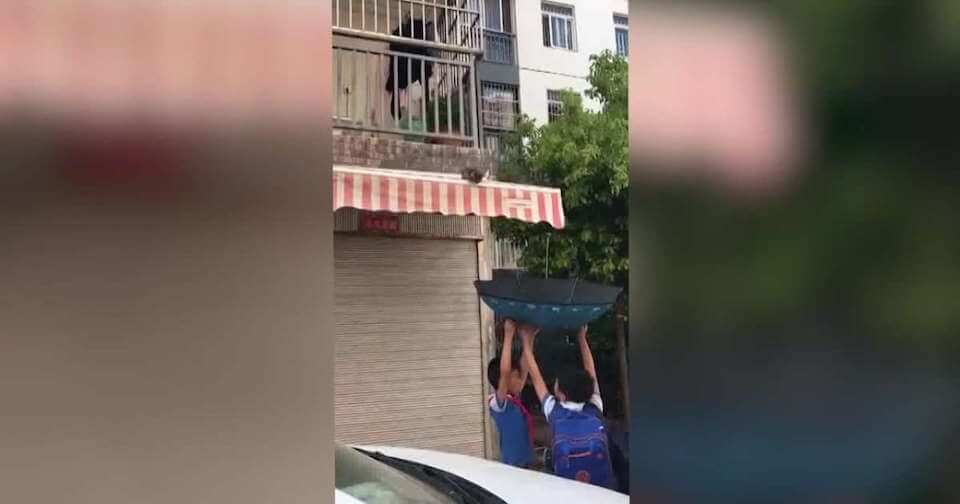 Two Kids Used An Umbrella To Save A Kitten Trapped On a Canopy