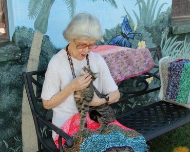 90-Year-Old Woman Knits Small Blankets For Cats At Animal Shelters