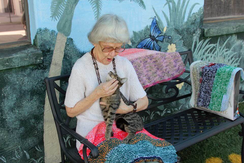 90-Year-Old Woman Knits Small Blankets For Cats At Animal Shelters